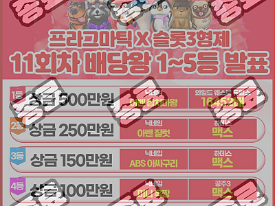 11회 배당왕 집계.png