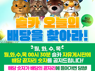 슬카 오늘의 배당을 찾아라!.png