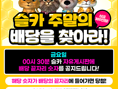 슬카 주말의 배당을 찾아라.png