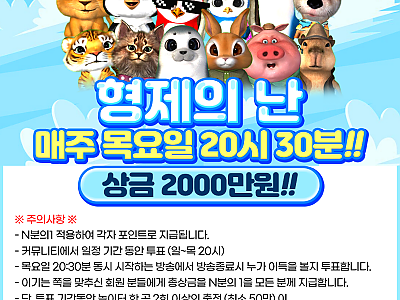 슬기로운카지노 형제의 난 파란색2.png