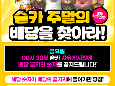 슬카 주말의 배당을 찾아라.png