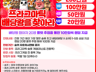 프라그마틱 배당왕 을 찾아라.png