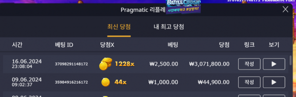 버메가 1228배