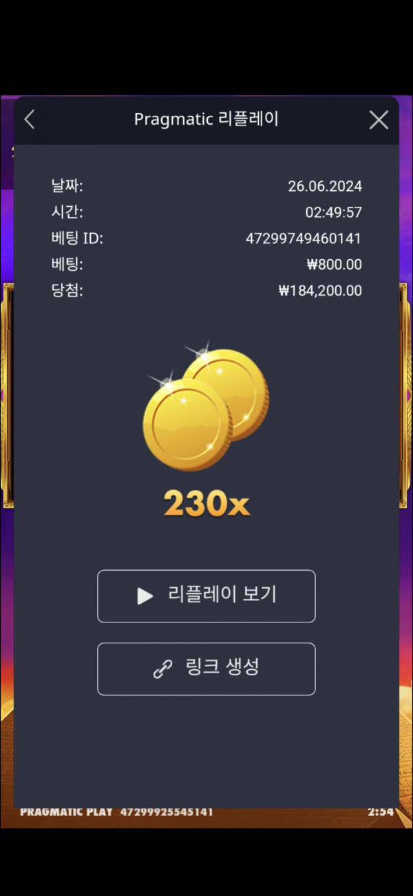 포춘오브기자 260배