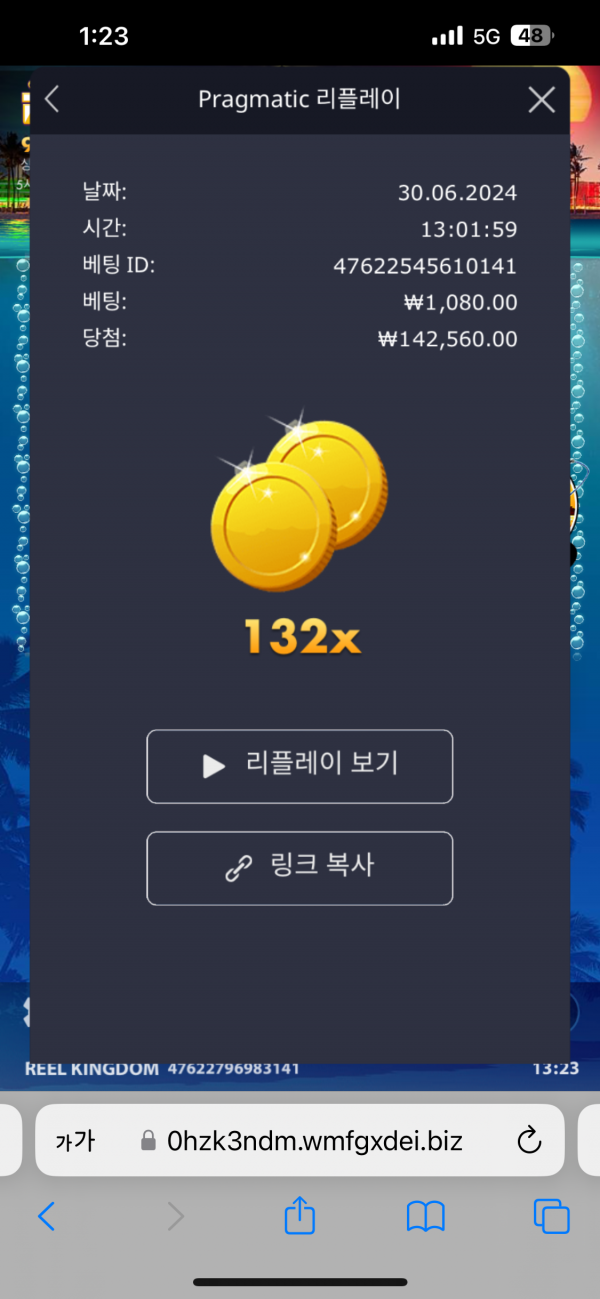 비거베스보난자 132배
