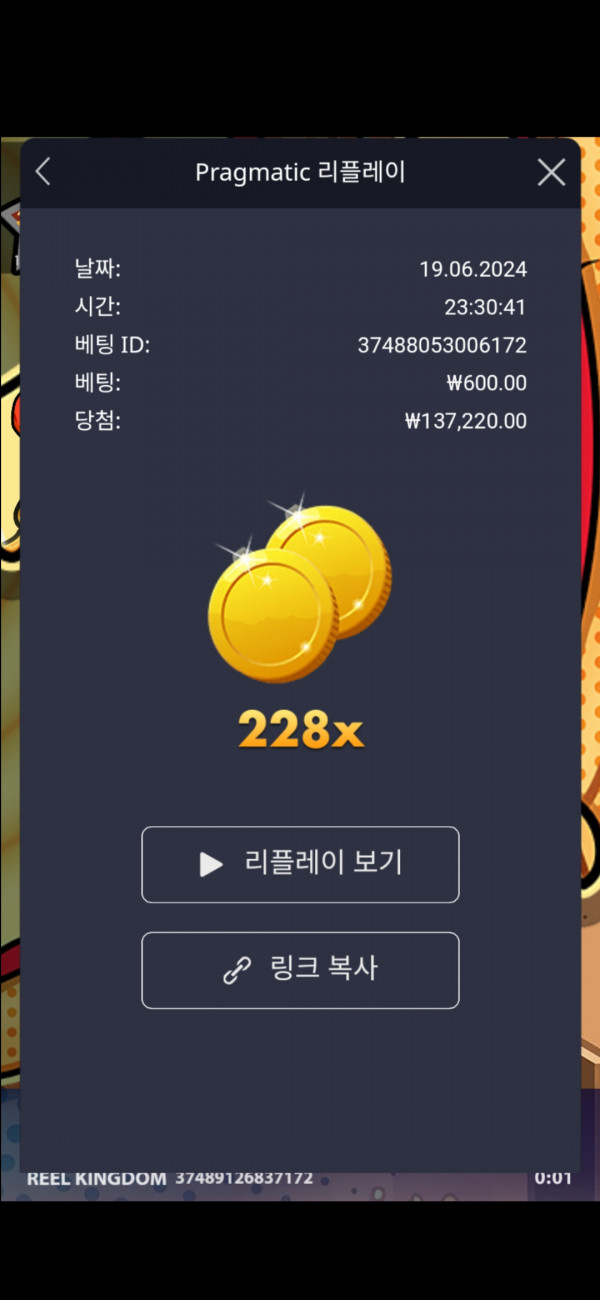 피자 228배