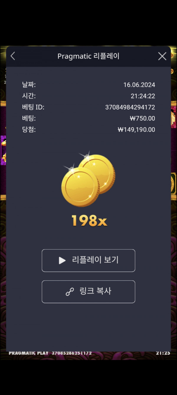 토라메 198배