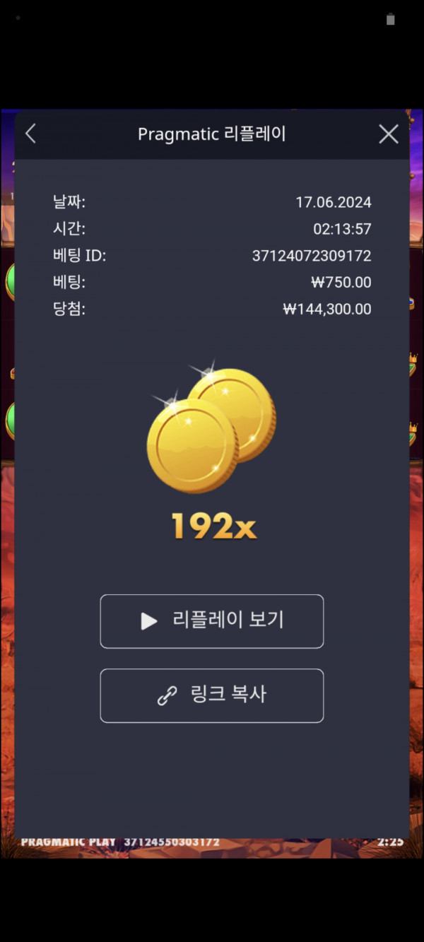 버메가 192배