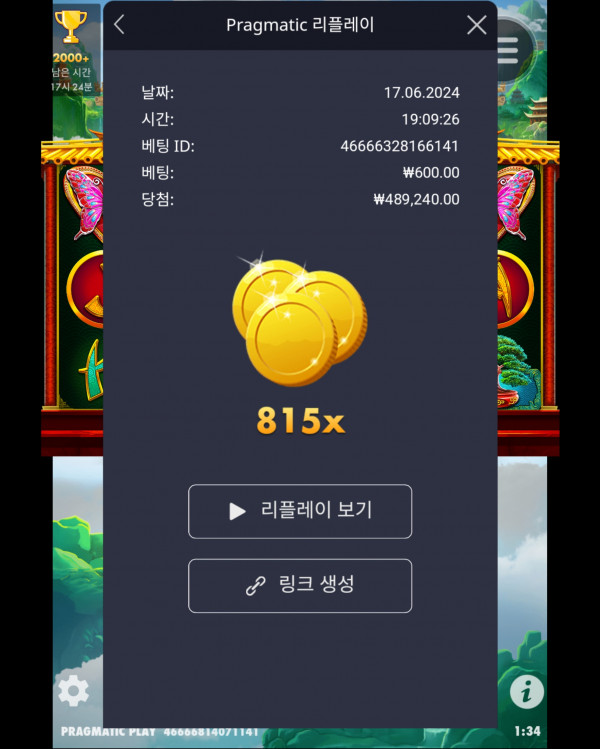 판다2  815배