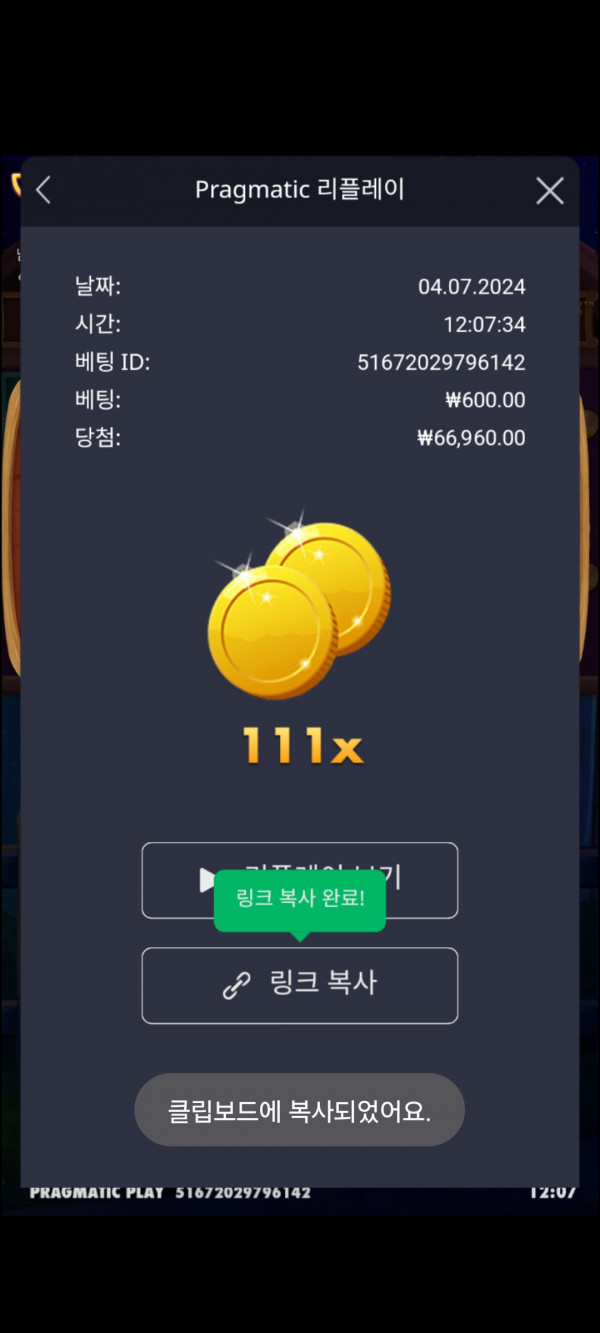 개집메가111배