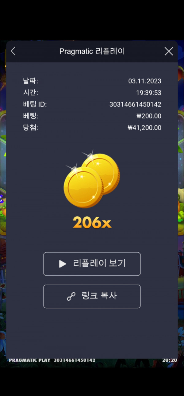 드디어 황금멀티