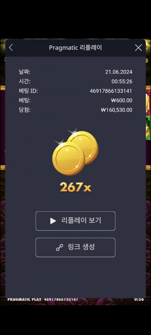 토라메 267배