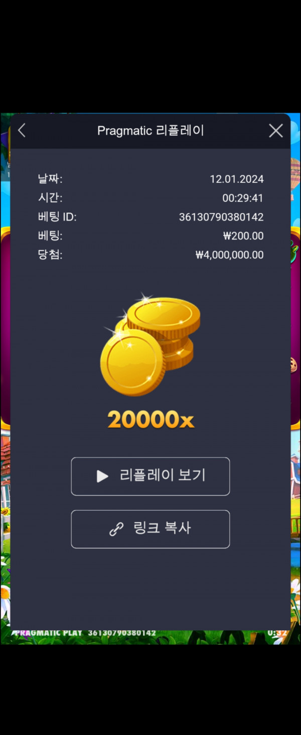 황금멀티~맥스