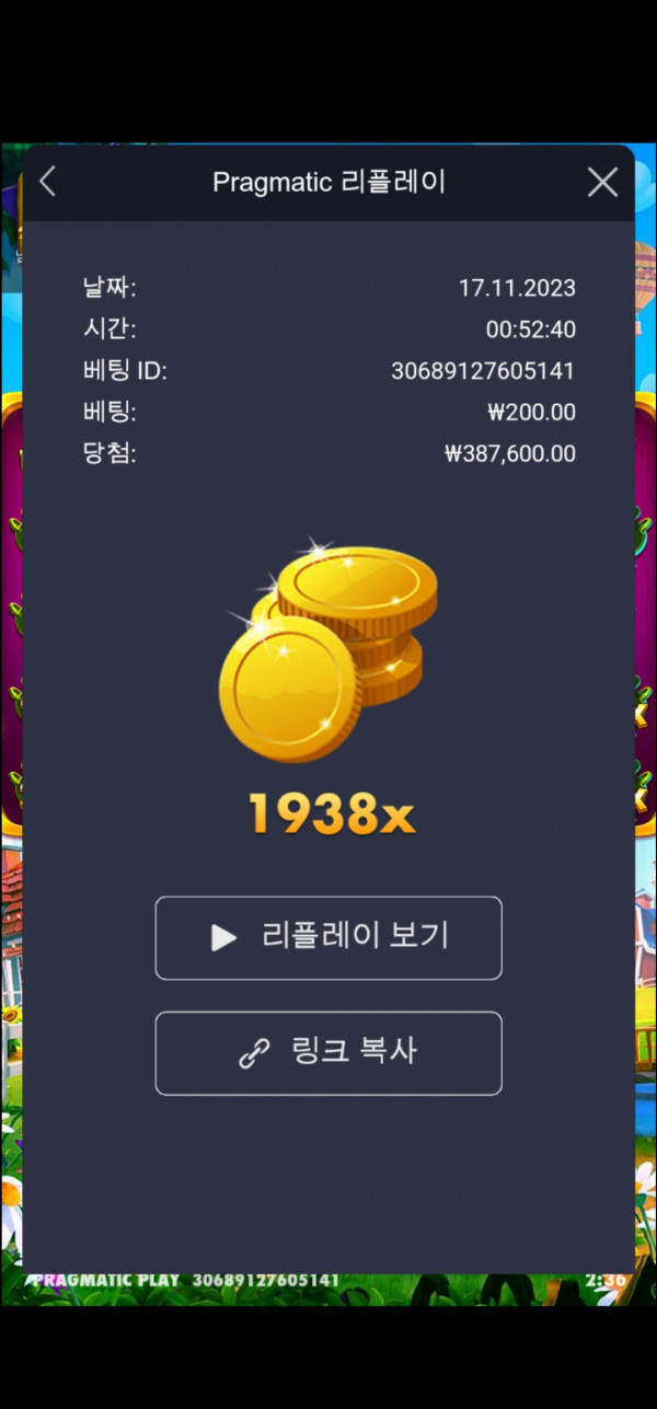 황금멀티 재재업로드