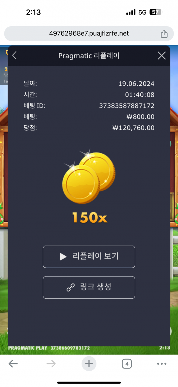 도그하우스 150배