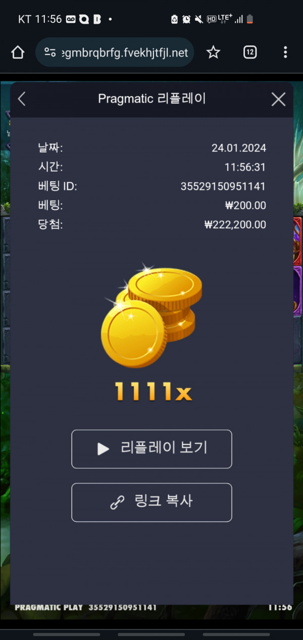 멀린 1111배