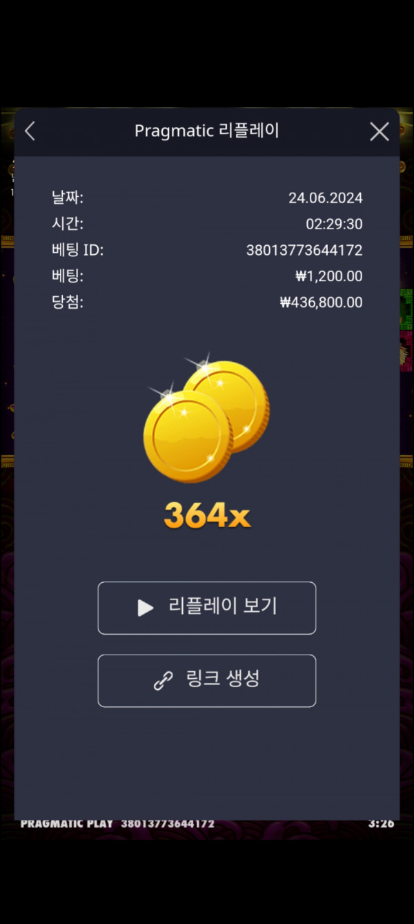 토라메 364배