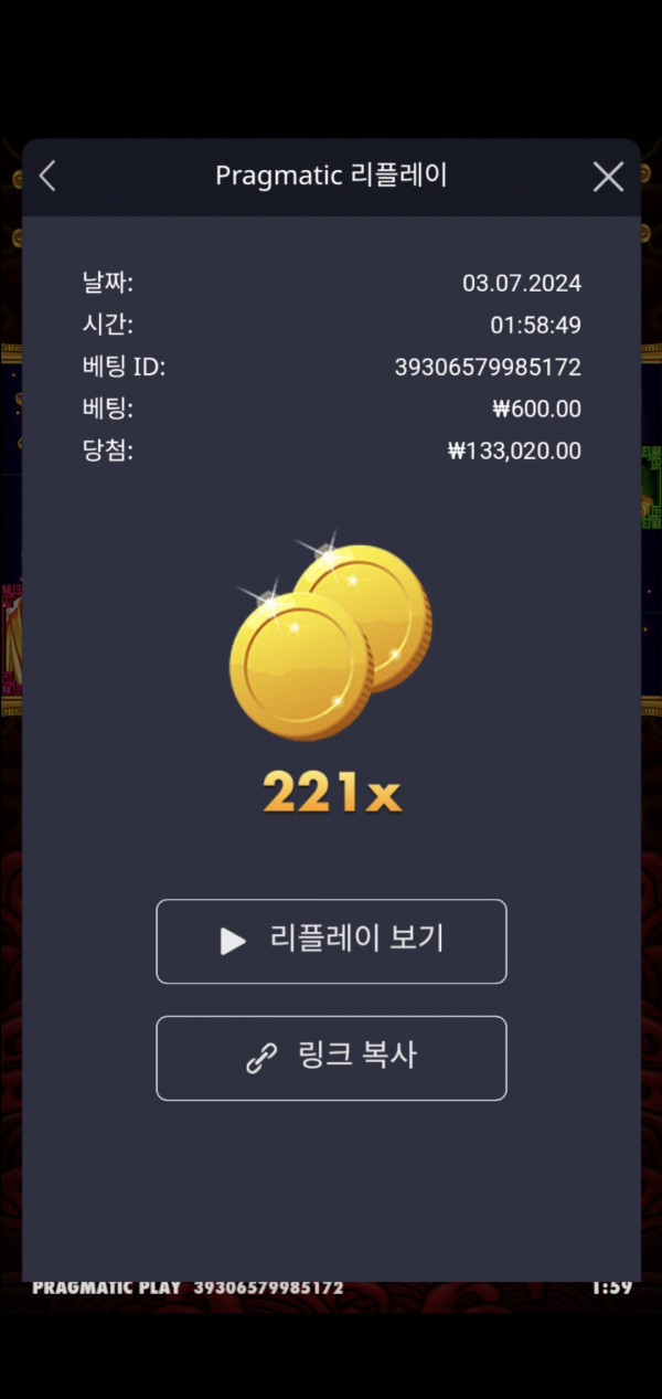 오라메 221배