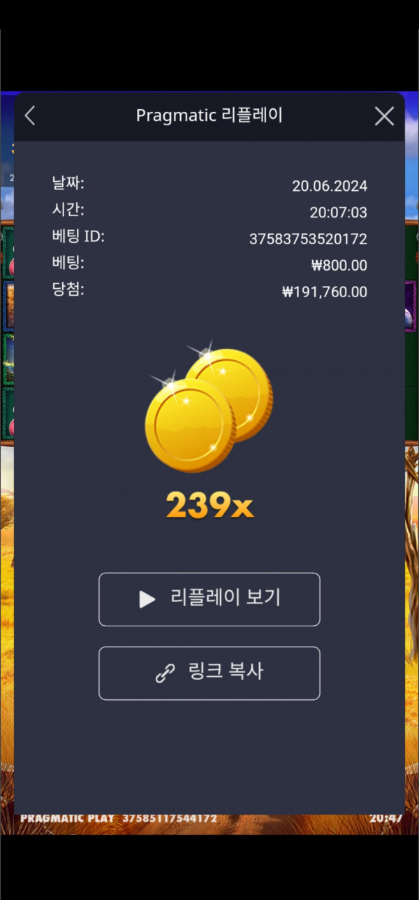그라메239 배당