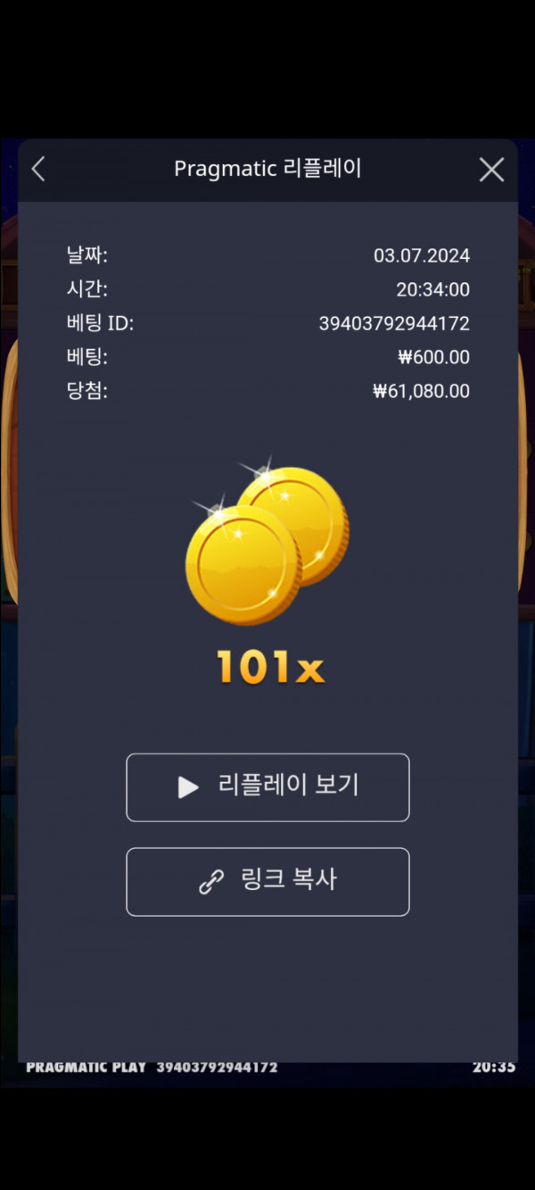 개집메가 101배