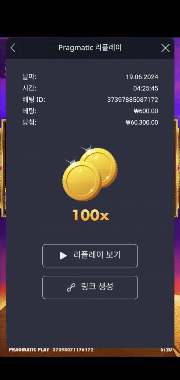포춘 100배