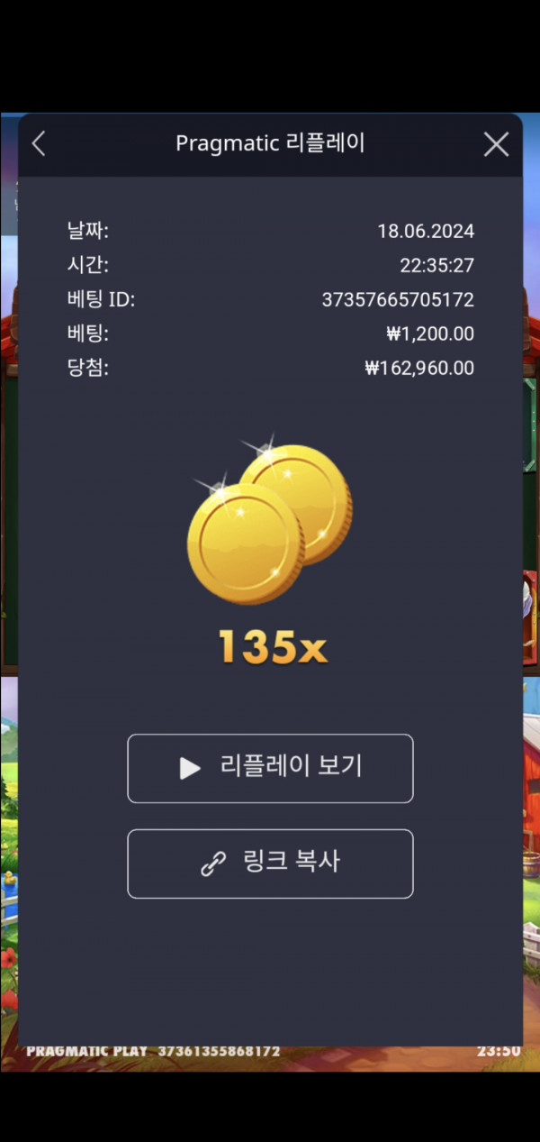 닭집 135배