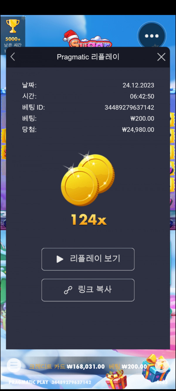 슈가엑스마스124배