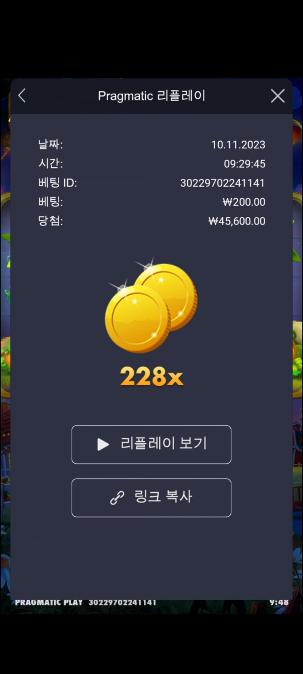 황금멀티