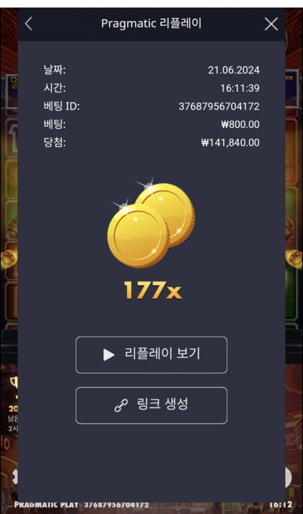 카지노헤이스트 177배