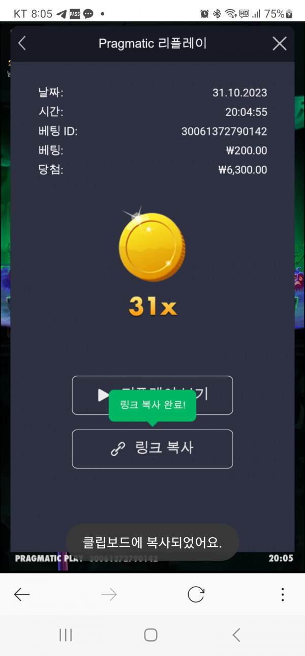 호박31배