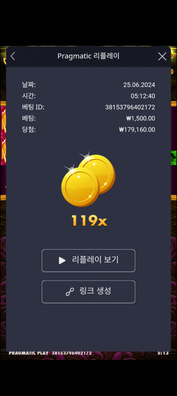 토라메 119배
