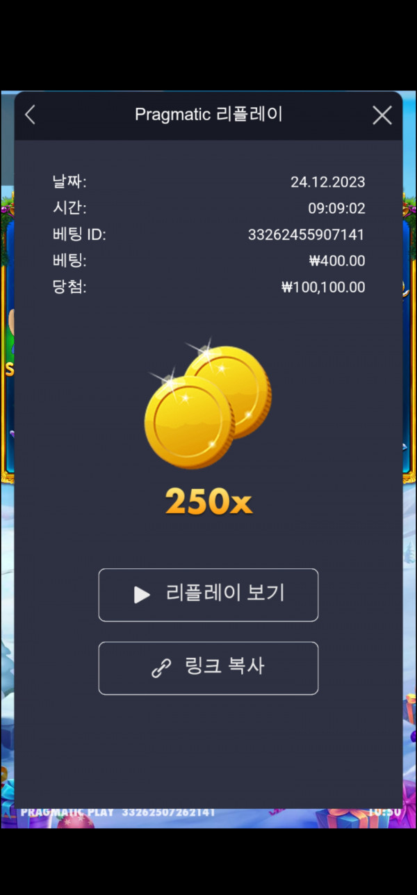 공주2  250배