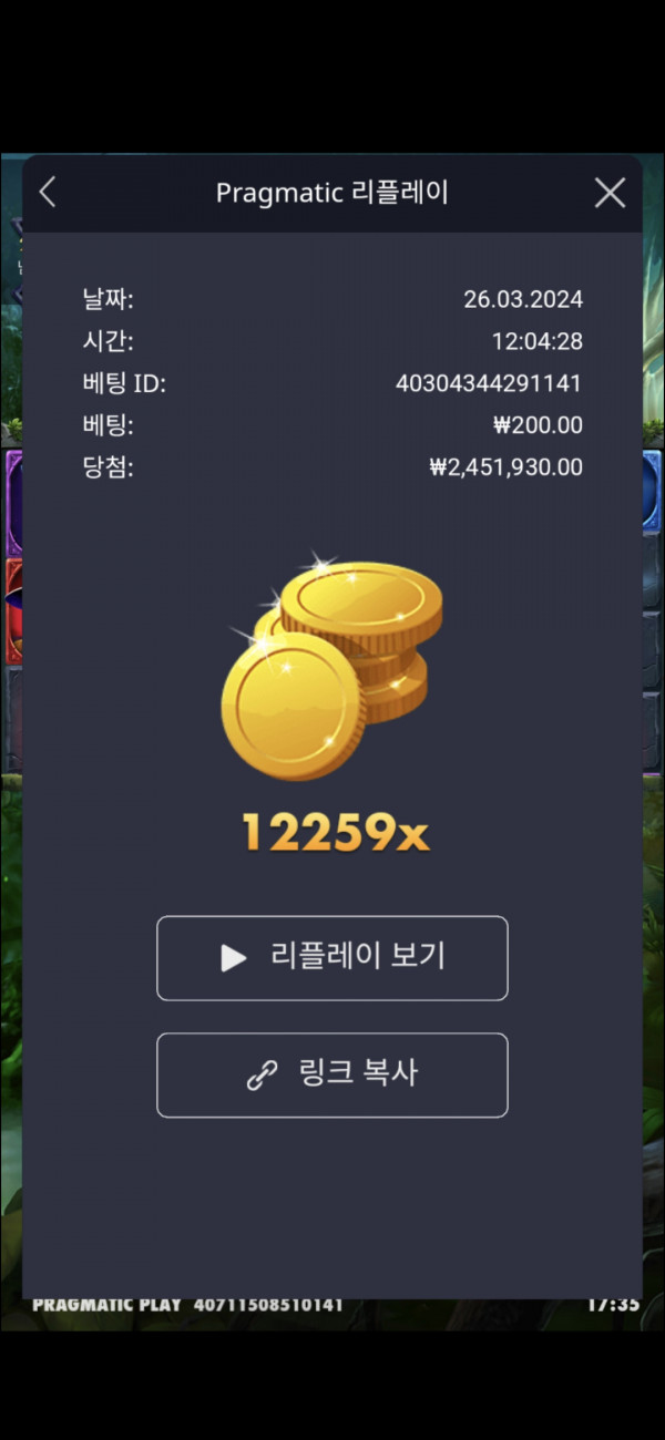 멀린12259배