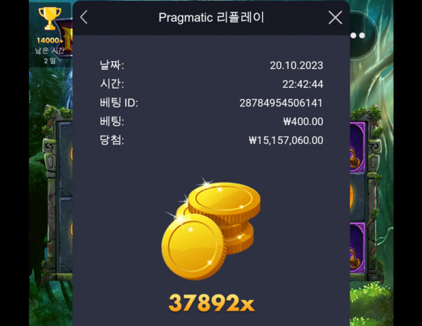 멀린 37892