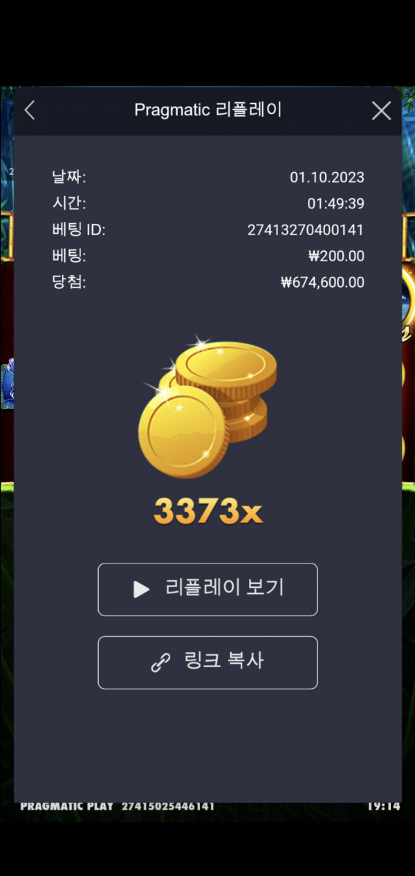 판다 원 3373배 ㅎ