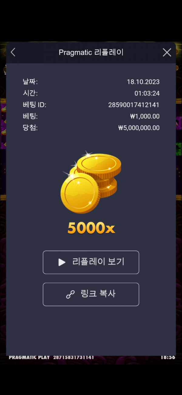 토라메 5000배
