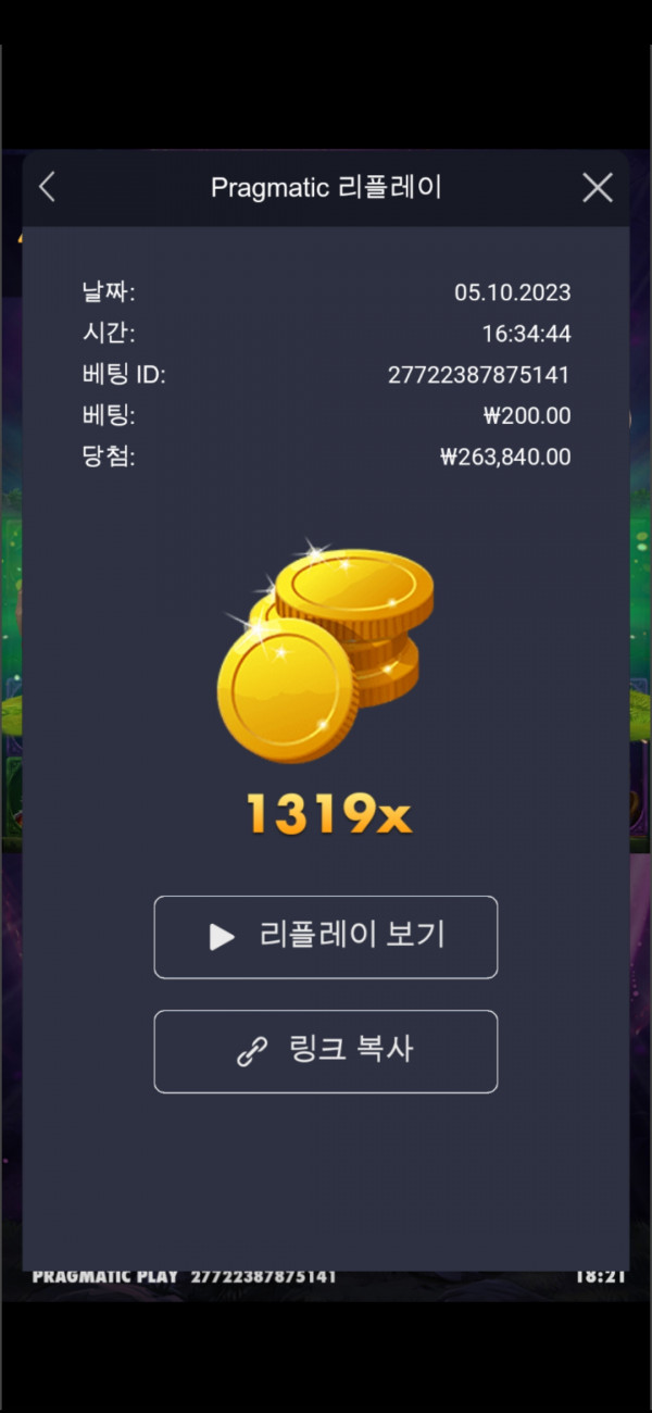 멀린 1319배