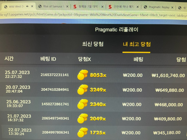 와일드 듀얼스 8053배