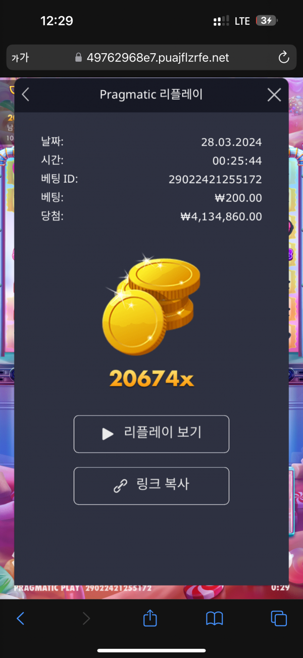 슈가러쉬1000  20647배