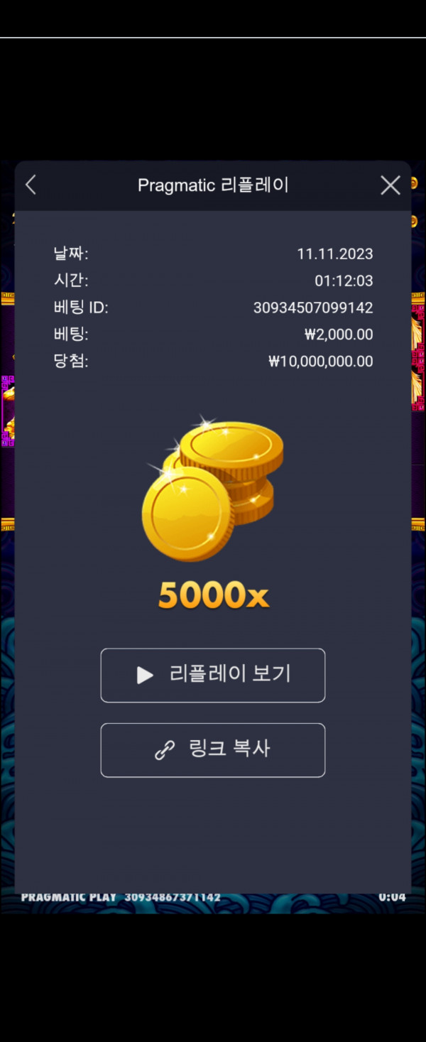 오라메5000배