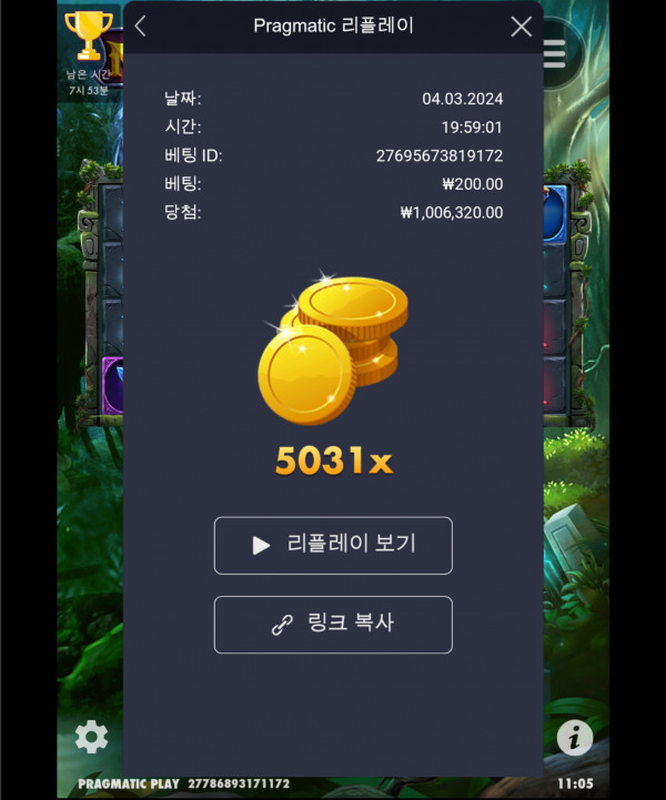 멀린5031배