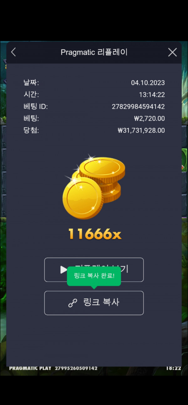 멀린 11666배