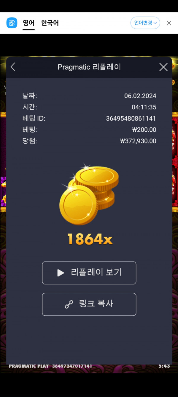 토라메 1864배