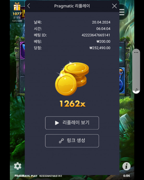 멀린 1262배당