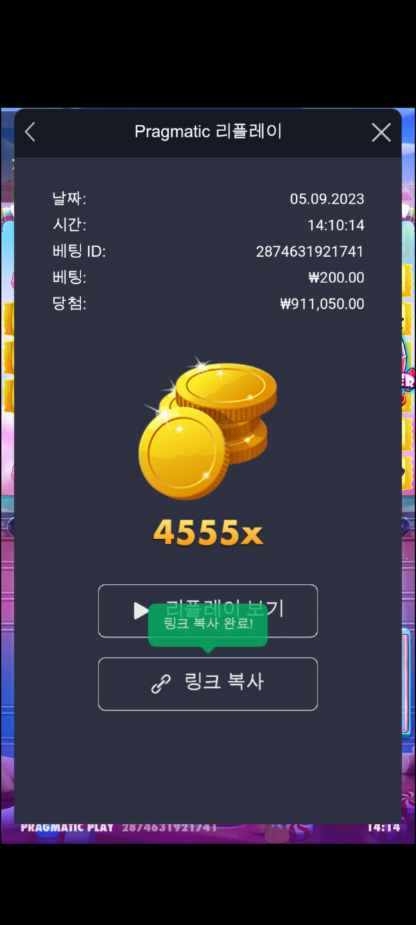 슈가러쉬 4555배 배당왕이벤참여