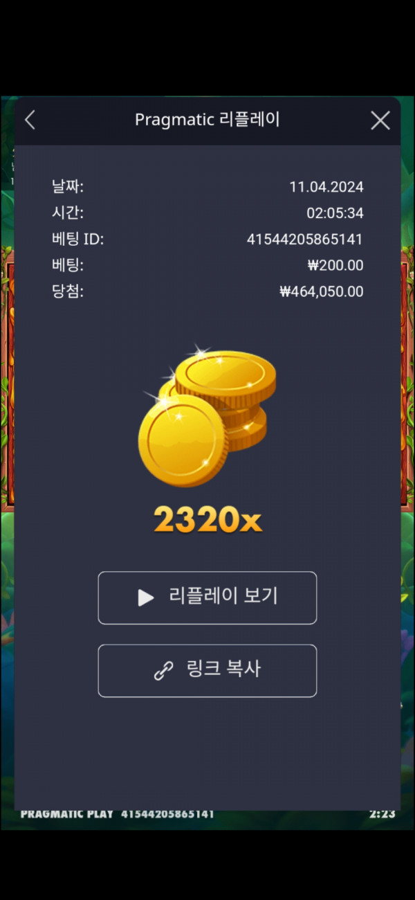 3버징와일드 2320배