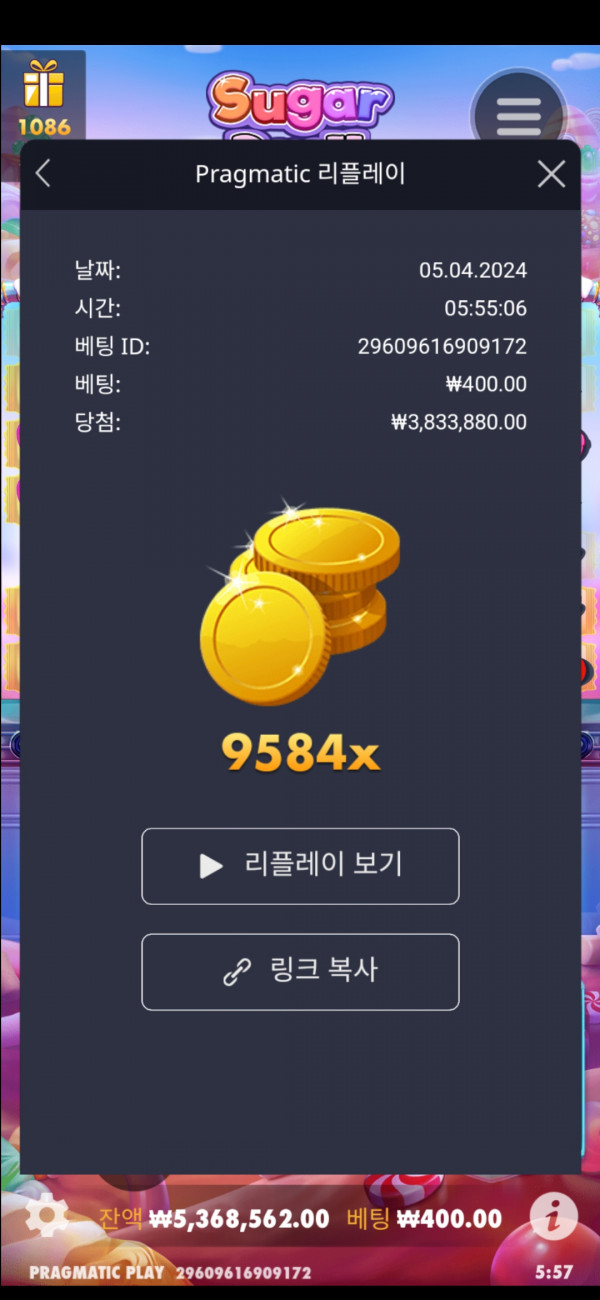 슈가1000 9584배