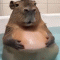 비버